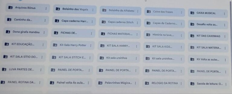 DRIVE PEDAGÓGICO COM + 30 ÍTENS PLR's